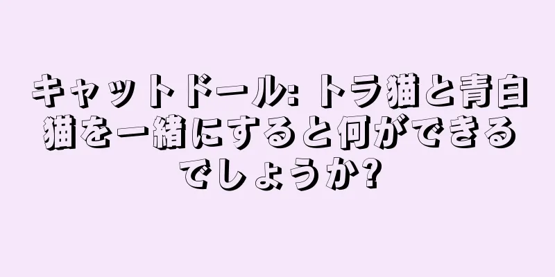 キャットドール: トラ猫と青白猫を一緒にすると何ができるでしょうか?