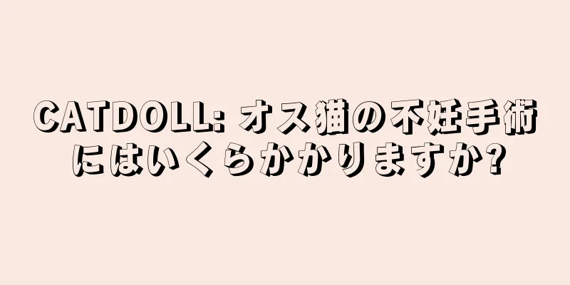 CATDOLL: オス猫の不妊手術にはいくらかかりますか?