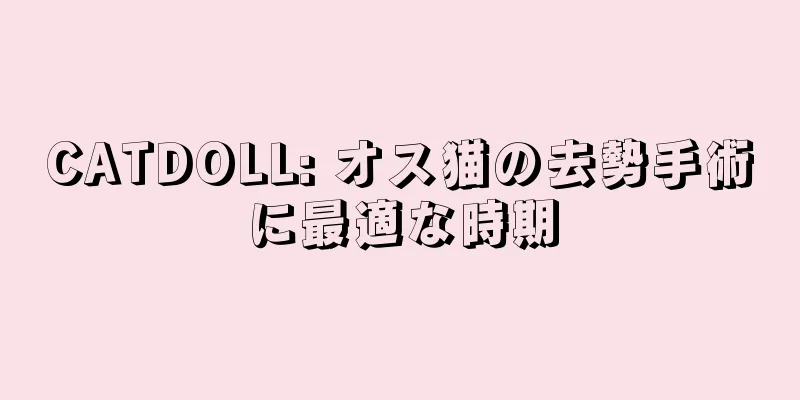 CATDOLL: オス猫の去勢手術に最適な時期