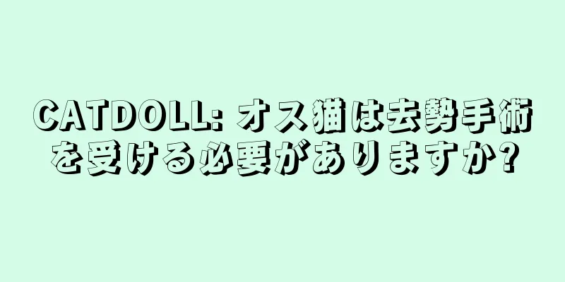 CATDOLL: オス猫は去勢手術を受ける必要がありますか?