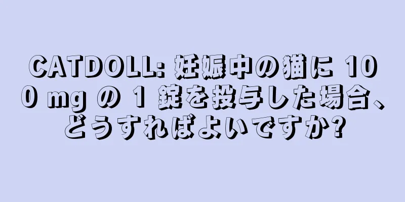CATDOLL: 妊娠中の猫に 100 mg の 1 錠を投与した場合、どうすればよいですか?