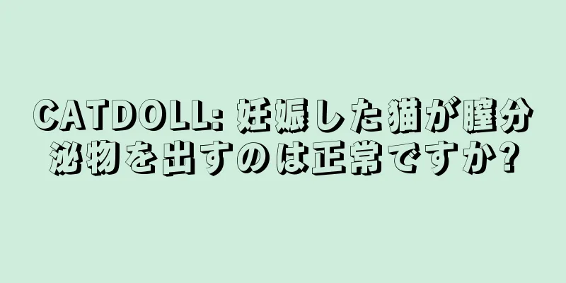 CATDOLL: 妊娠した猫が膣分泌物を出すのは正常ですか?