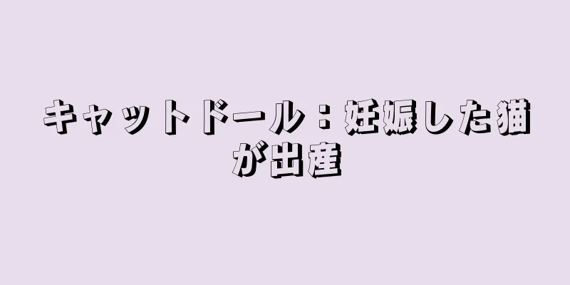 キャットドール：妊娠した猫が出産