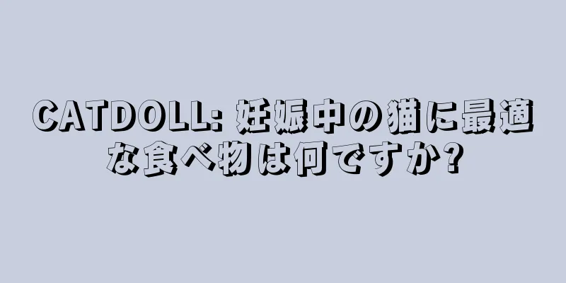 CATDOLL: 妊娠中の猫に最適な食べ物は何ですか?
