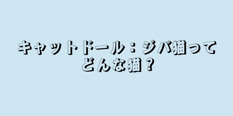 キャットドール：ジバ猫ってどんな猫？