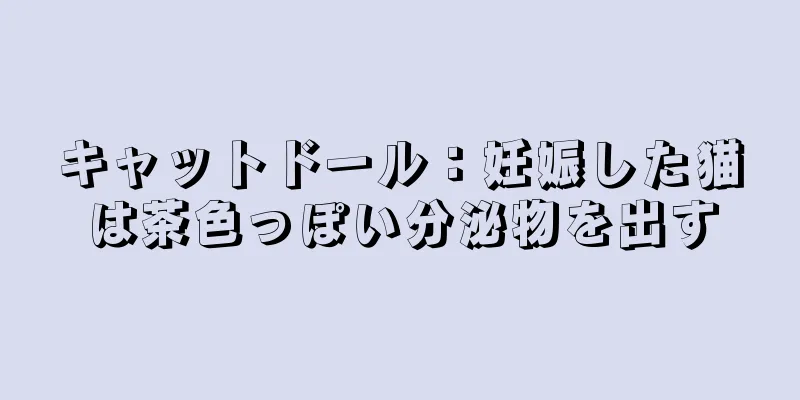 キャットドール：妊娠した猫は茶色っぽい分泌物を出す