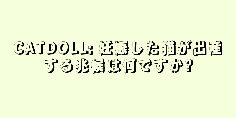 CATDOLL: 妊娠した猫が出産する兆候は何ですか?