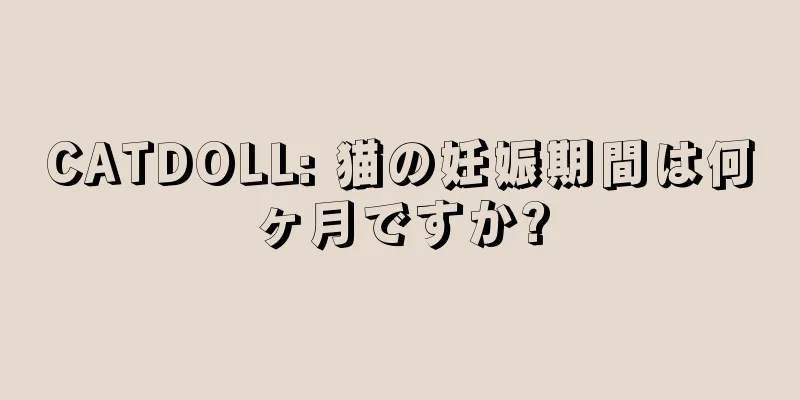 CATDOLL: 猫の妊娠期間は何ヶ月ですか?