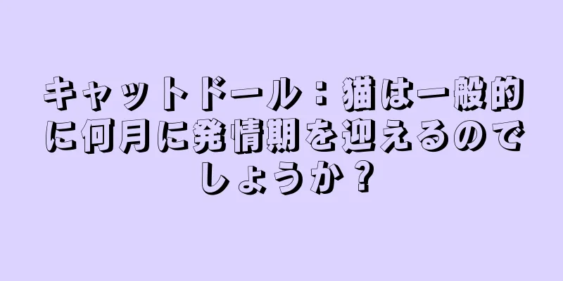 キャットドール：猫は一般的に何月に発情期を迎えるのでしょうか？
