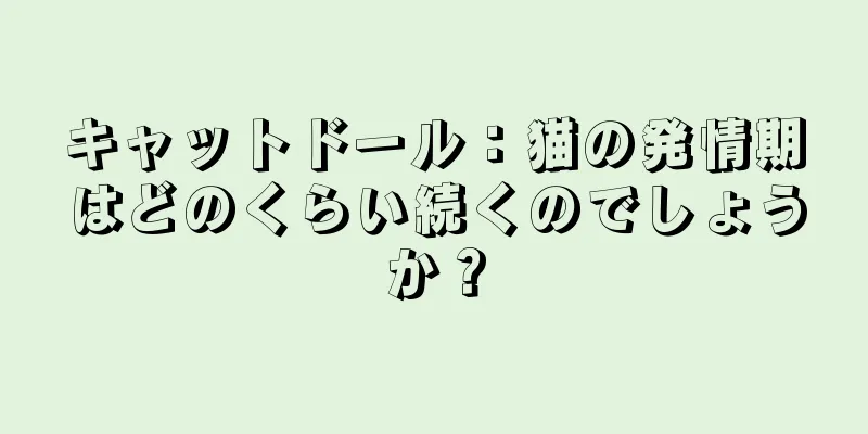 キャットドール：猫の発情期はどのくらい続くのでしょうか？