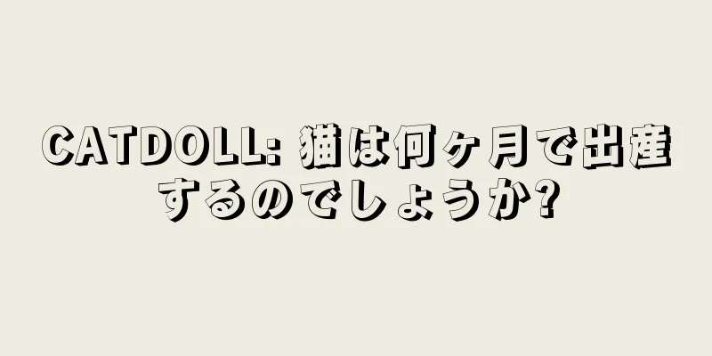 CATDOLL: 猫は何ヶ月で出産するのでしょうか?
