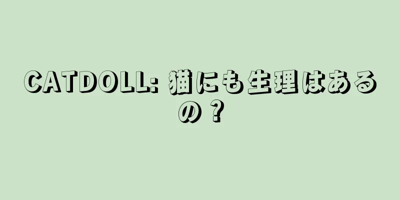 CATDOLL: 猫にも生理はあるの？