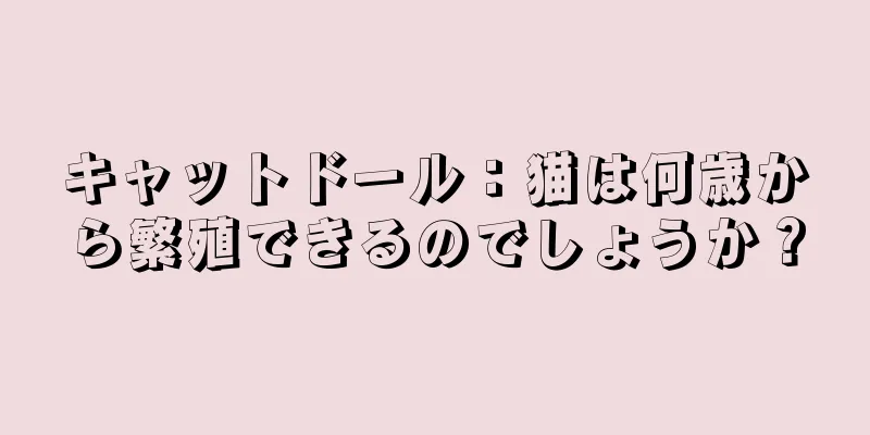 キャットドール：猫は何歳から繁殖できるのでしょうか？