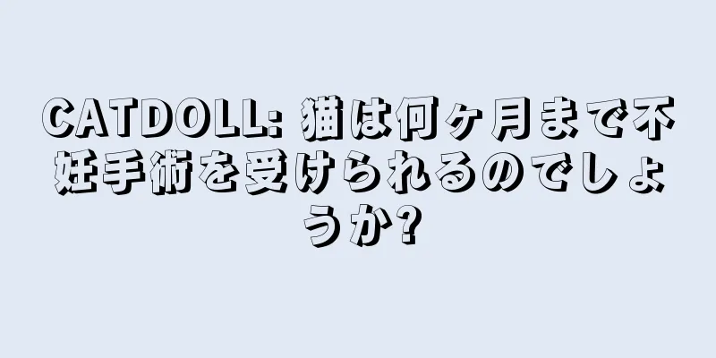CATDOLL: 猫は何ヶ月まで不妊手術を受けられるのでしょうか?