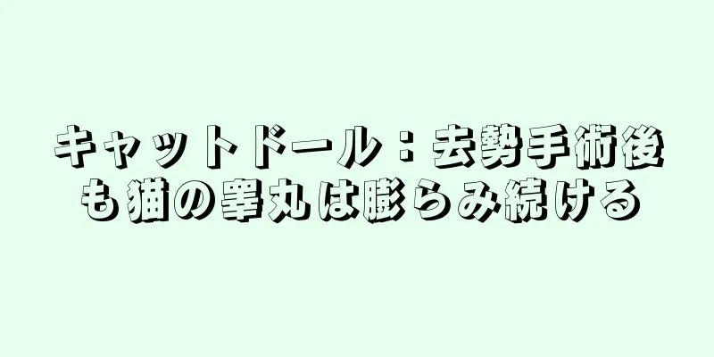 キャットドール：去勢手術後も猫の睾丸は膨らみ続ける