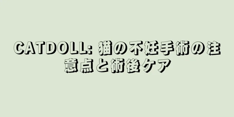 CATDOLL: 猫の不妊手術の注意点と術後ケア