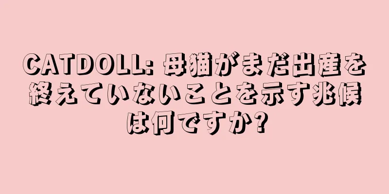 CATDOLL: 母猫がまだ出産を終えていないことを示す兆候は何ですか?