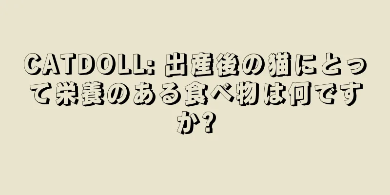 CATDOLL: 出産後の猫にとって栄養のある食べ物は何ですか?