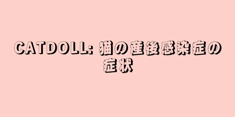 CATDOLL: 猫の産後感染症の症状