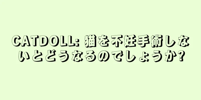 CATDOLL: 猫を不妊手術しないとどうなるのでしょうか?