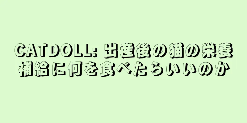 CATDOLL: 出産後の猫の栄養補給に何を食べたらいいのか
