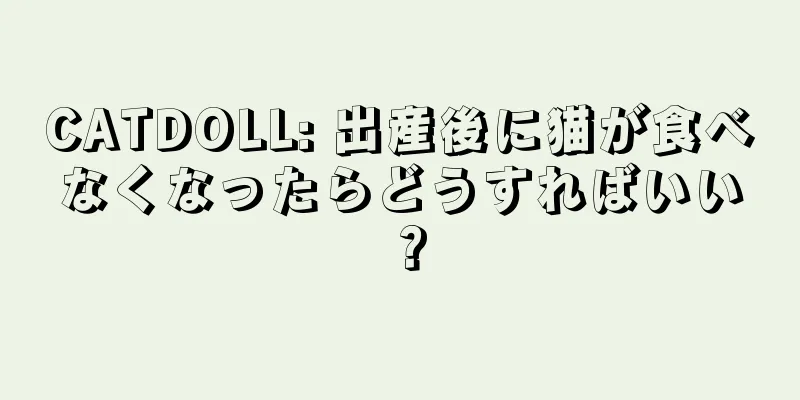CATDOLL: 出産後に猫が食べなくなったらどうすればいい？
