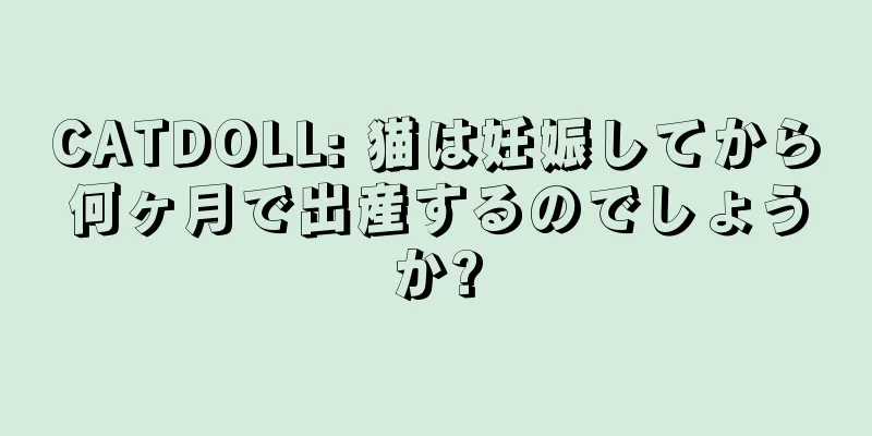 CATDOLL: 猫は妊娠してから何ヶ月で出産するのでしょうか?