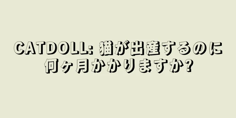 CATDOLL: 猫が出産するのに何ヶ月かかりますか?