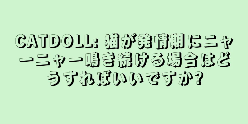 CATDOLL: 猫が発情期にニャーニャー鳴き続ける場合はどうすればいいですか?