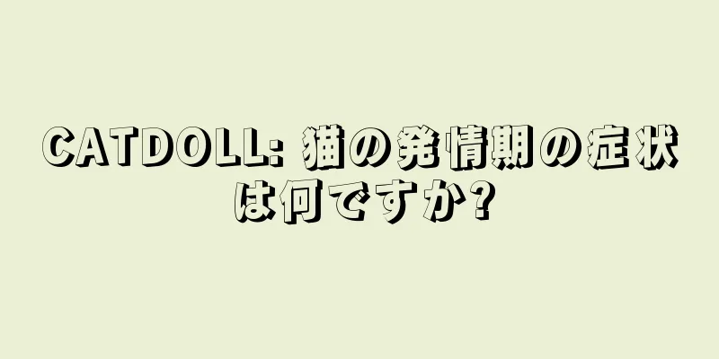 CATDOLL: 猫の発情期の症状は何ですか?