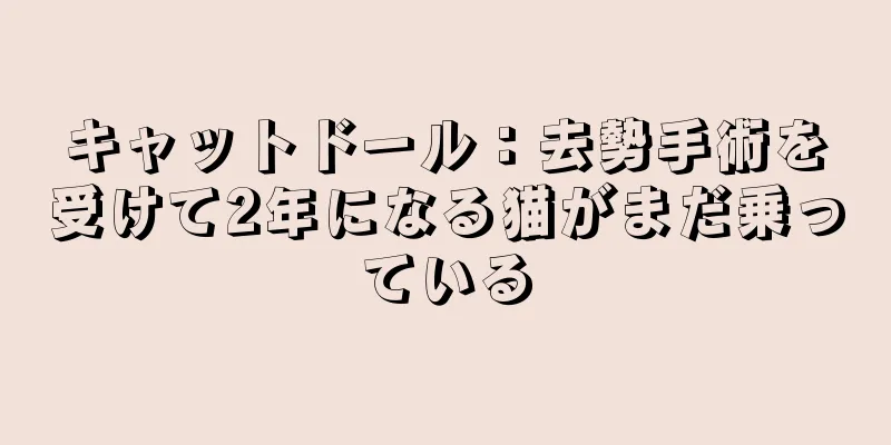 キャットドール：去勢手術を受けて2年になる猫がまだ乗っている