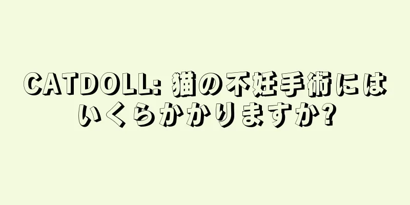 CATDOLL: 猫の不妊手術にはいくらかかりますか?
