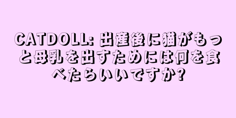 CATDOLL: 出産後に猫がもっと母乳を出すためには何を食べたらいいですか?