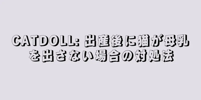 CATDOLL: 出産後に猫が母乳を出さない場合の対処法