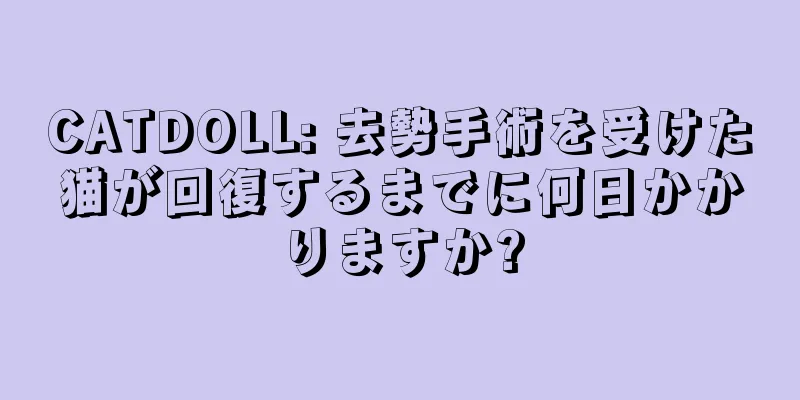 CATDOLL: 去勢手術を受けた猫が回復するまでに何日かかりますか?