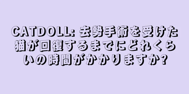 CATDOLL: 去勢手術を受けた猫が回復するまでにどれくらいの時間がかかりますか?