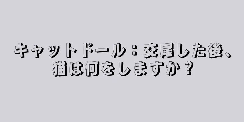 キャットドール：交尾した後、猫は何をしますか？