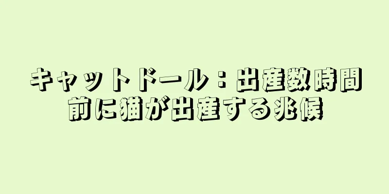 キャットドール：出産数時間前に猫が出産する兆候