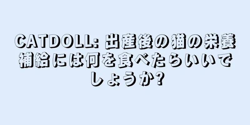 CATDOLL: 出産後の猫の栄養補給には何を食べたらいいでしょうか?