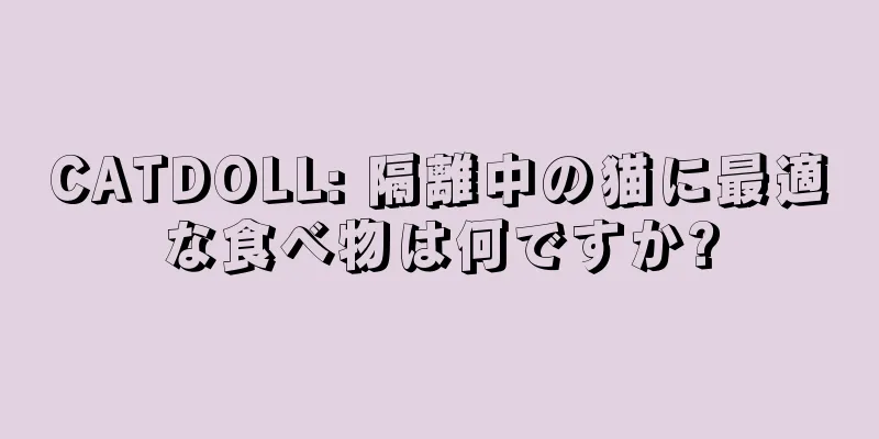 CATDOLL: 隔離中の猫に最適な食べ物は何ですか?
