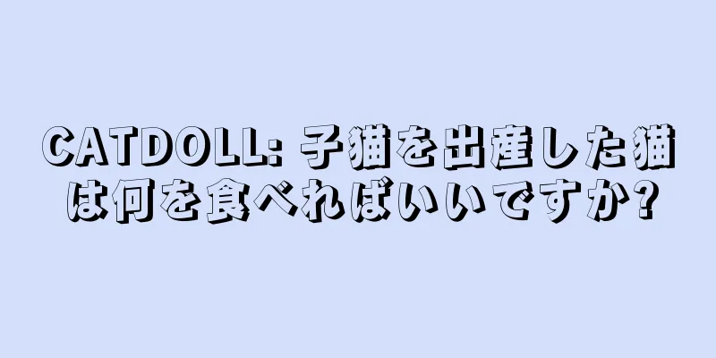 CATDOLL: 子猫を出産した猫は何を食べればいいですか?
