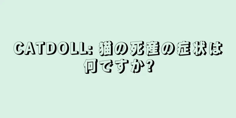 CATDOLL: 猫の死産の症状は何ですか?