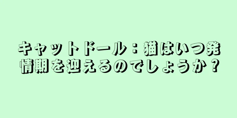 キャットドール：猫はいつ発情期を迎えるのでしょうか？