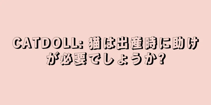 CATDOLL: 猫は出産時に助けが必要でしょうか?