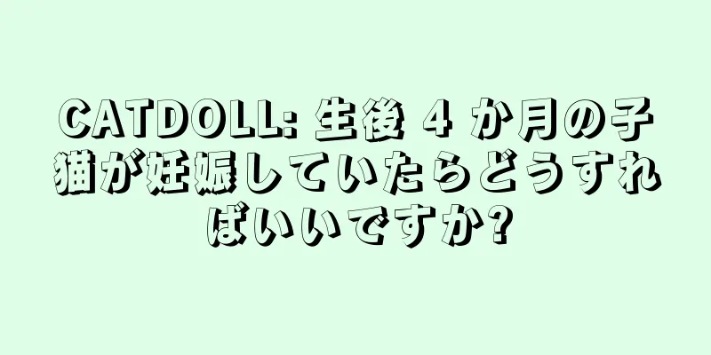 CATDOLL: 生後 4 か月の子猫が妊娠していたらどうすればいいですか?