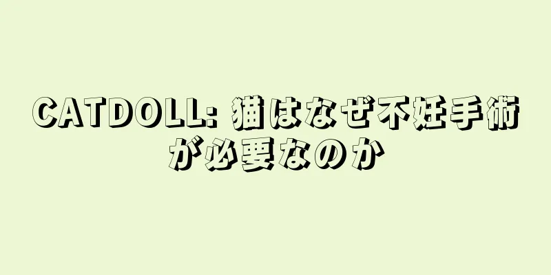 CATDOLL: 猫はなぜ不妊手術が必要なのか