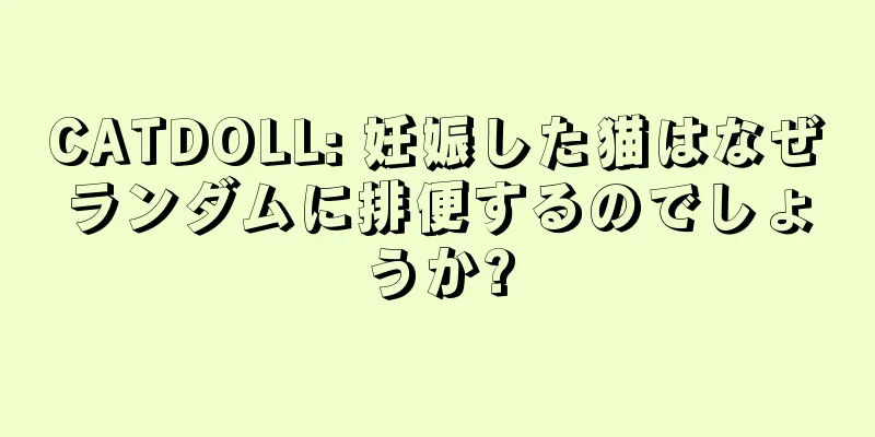 CATDOLL: 妊娠した猫はなぜランダムに排便するのでしょうか?