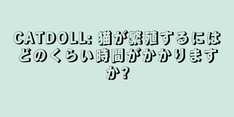 CATDOLL: 猫が繁殖するにはどのくらい時間がかかりますか?