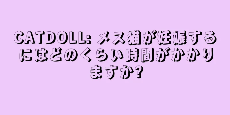 CATDOLL: メス猫が妊娠するにはどのくらい時間がかかりますか?