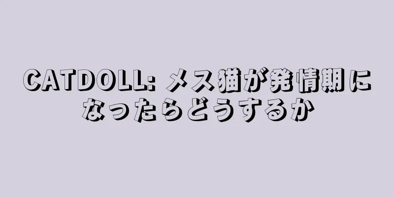 CATDOLL: メス猫が発情期になったらどうするか